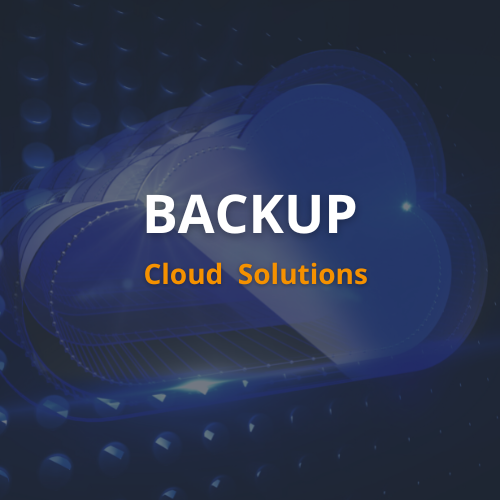 Securely Store Your Data in the Cloud