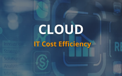 IT Cost Reduction through Digital Experience: The Role of the Cloud