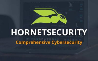 Protect Your Business with Hornetsecurity: Comprehensive Cybersecurity Solutions