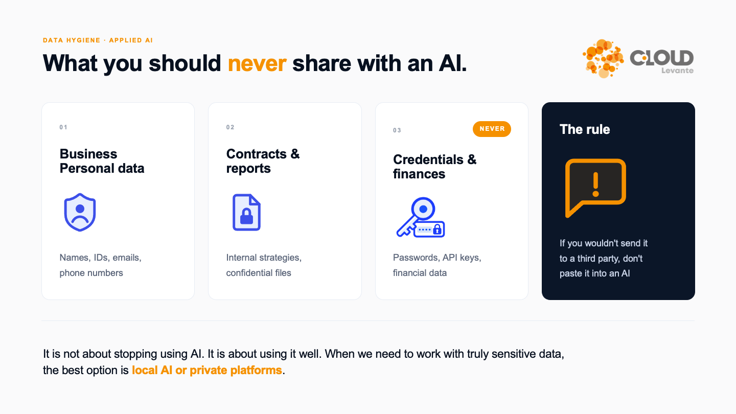 What data not to share with an AI